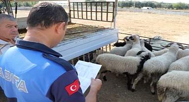 Menderes'te Kurban Bayramı Denetimi