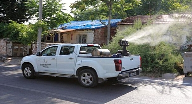 Bayraklı Yaz Boyu İlaçlanacak