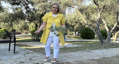 AK Partili Çankırı, ağaç katliamına tepki gösterdi