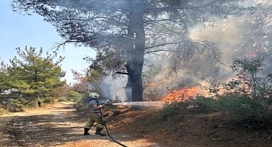 İzmir'den Çanakkale'deki yangına tam destek