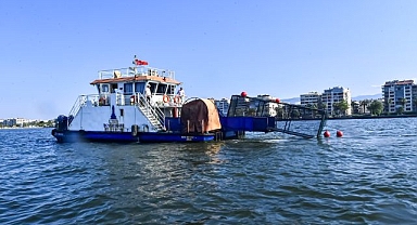 İzmir Körfezi'nin ekolojik dengesi deniz patlıcanlarına emanet