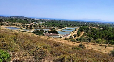 Su alanları balıklandırılıyor