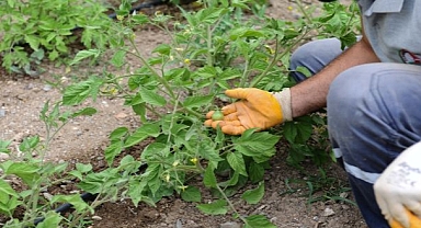 “Karşıyaka Kentsel Gıda Strateji Belgesi” Türkiye birincisi!
