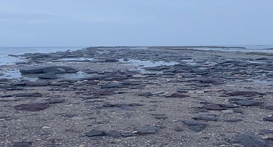 Homalı balıkçılar Soyer'den yardım bekliyor