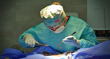 Barınaklarda Kalbinizi Çalacak Canlar Var