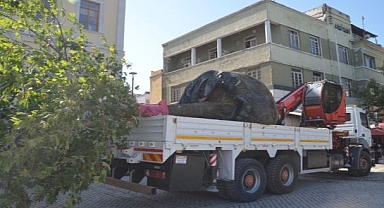 Kırılan Asırlık Çınar Ağacının Yerine Yenisini Dikti 