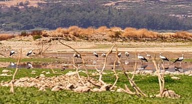 Barajlardaki doluluk oranı kritik seviyede