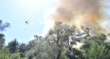 Barınaklarda önlem