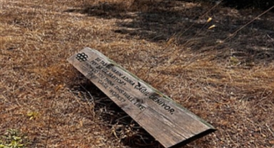 Eşsiz doğada kuş gözlemi