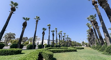 Kültürpark’ın palmiyeleri güvende