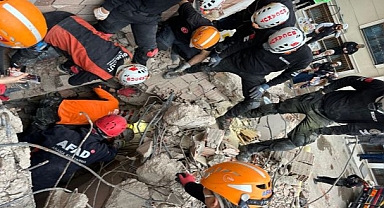 BUCAKUT’tan yavru köpek operasyonu