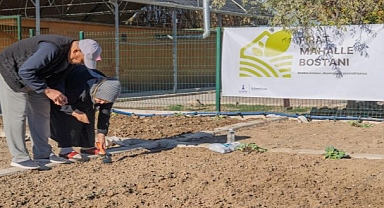 Mahalle bostanlarında kış dikimleri başladı