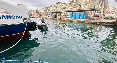 İzmir İtfaiyesi, iskele altında sıkışan kediyi kurtardı