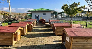 Seferihisar’da Sokak Hayvanları İçin Kulübe Destek Kampanyası