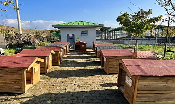 Seferihisar’da Sokak Hayvanları İçin Kulübe Destek Kampanyası