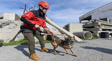 Afetlerde mahsur kalan hayvanlar unutulmayacak