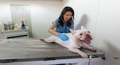 On binlerce cana dokunan seferberlik