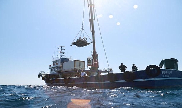 Midye kabukları deniz yaşamına nefes olacak