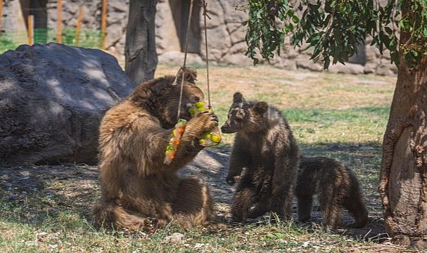 İzmir Doğal Yaşam Parkı'nda yazın en serin ziyafeti
