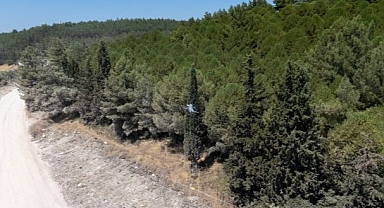 Kaçak moloz dökenlere dronlu takip