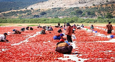 Torbalı’nın kuru domates emekçileri yalnız bırakılmadı