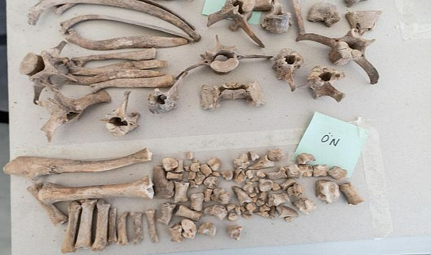 İzmir’in Troya’sı: Yassıtepe’den zenginliğin izleri çıktı