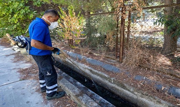 Sivrisinekle mücadele dört mevsim sürüyor