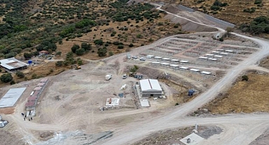 Dikili’ye tam teşekküllü sokak hayvanları kampüsü