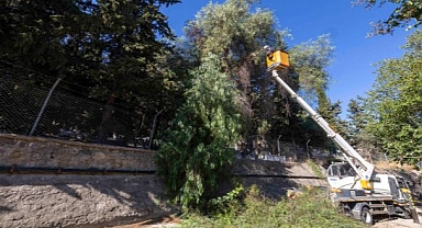 İzmir’in derelerinde kış seferberliği
