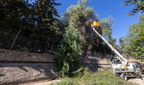 İzmir’in derelerinde kış seferberliği